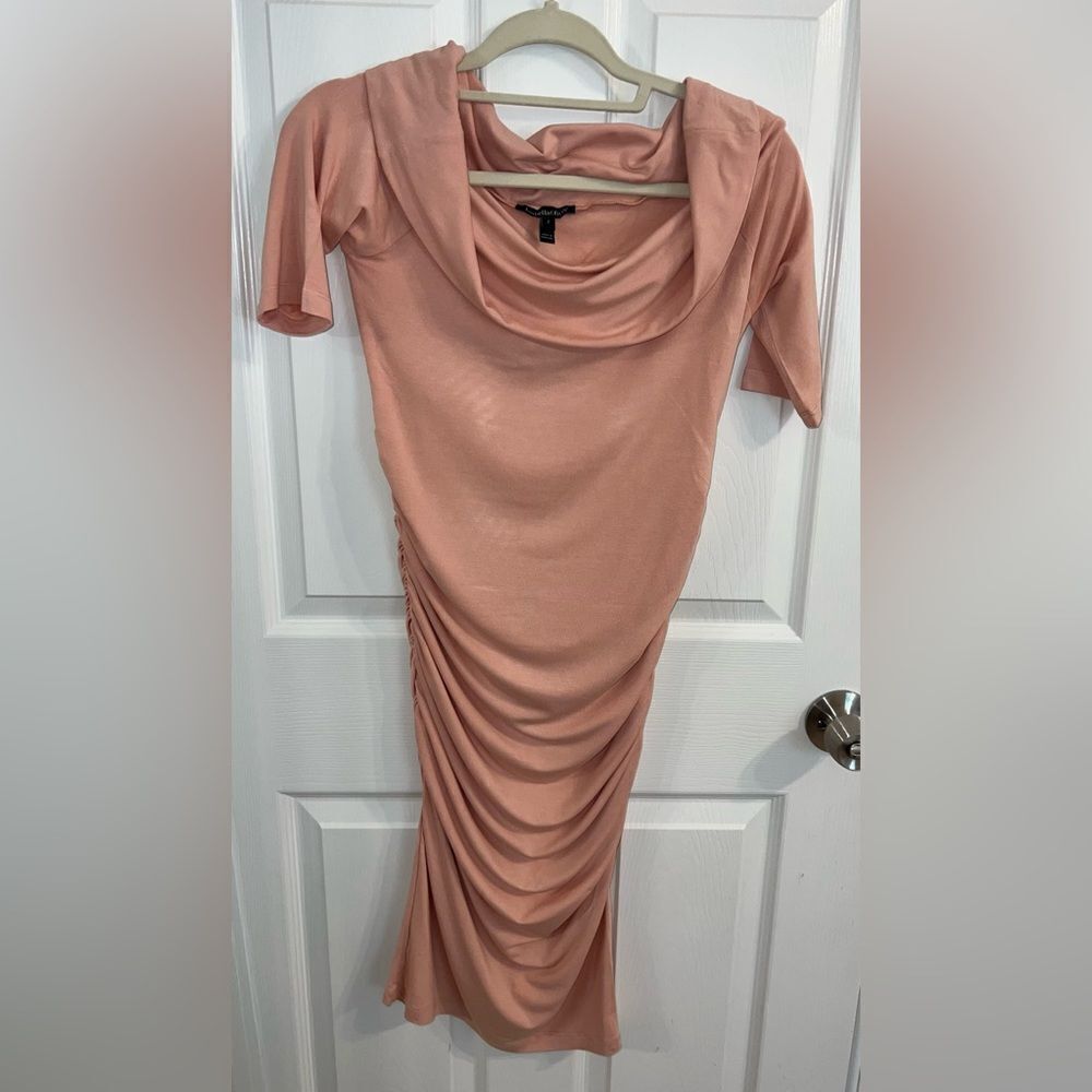 ISABELLA OLIVER MATERNITY DRESS 2